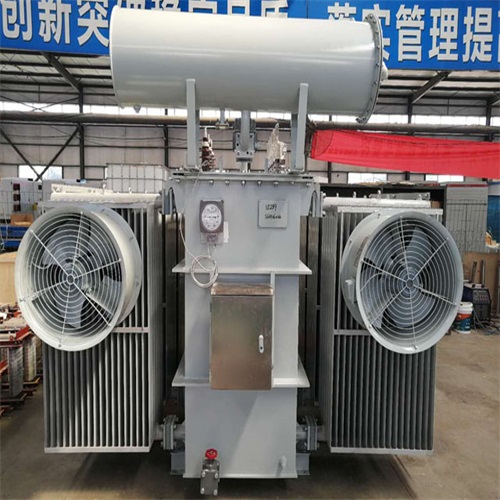 中卫S22-6300KVA非晶合金变压器